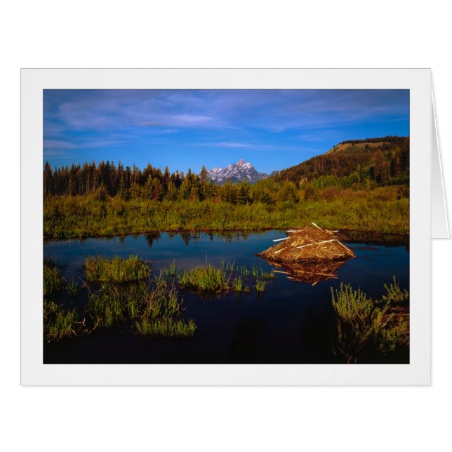 "A Teton Summer" Cards (Front Horizontal)