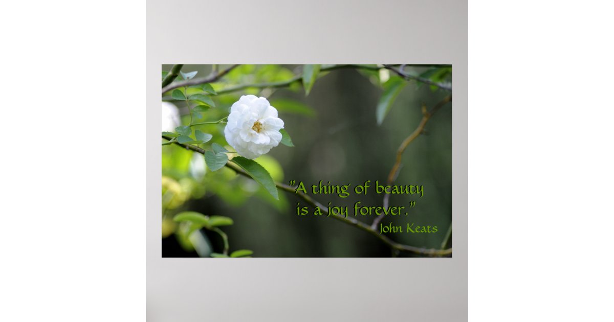 A Thing Of Beauty Is A Joy Fore Poster Zazzle Com