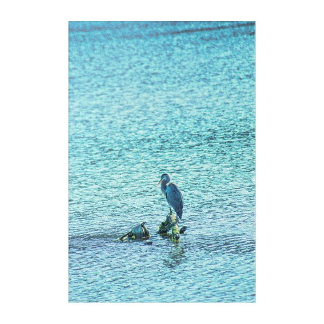A Thinker Acrylic Print (Front)