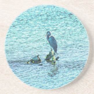 A Thinker Coaster