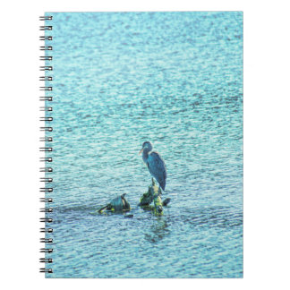 A Thinker Notebook