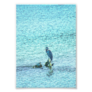 A Thinker Photo Print