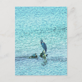 A Thinker Postcard