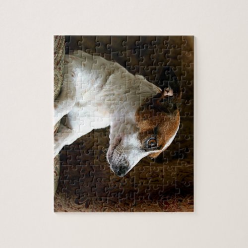 A Thinking Jack Russell Terrier Jigsaw Puzzle