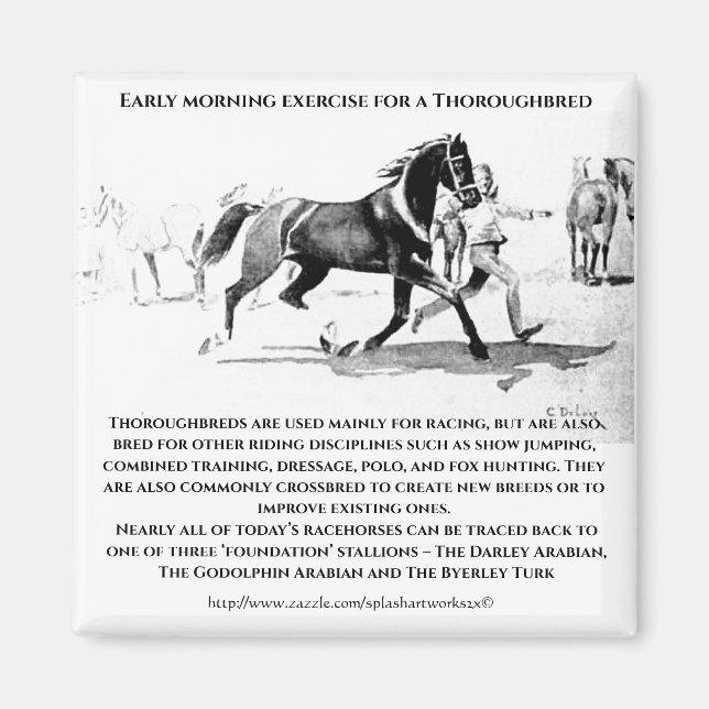 "A Thoroughbred in Training" Magnet (Front)