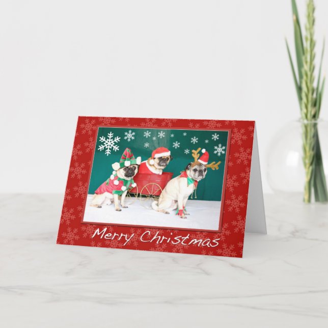 A Three Pug Christmas Holiday Card (Front)