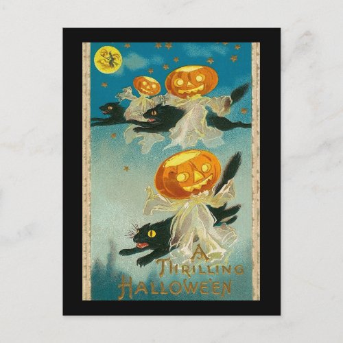 A Thrilling Halloween Black Cats Jack O Lantern Postcard