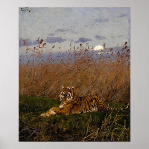 A Tiger Among Rushes In The Moonlight Poster