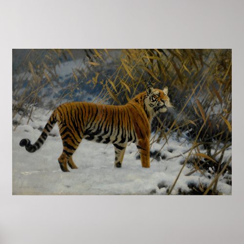 A Tiger Prowling In The Snow by Hugo Ungewitter Poster