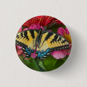 A Tiger Swallowtail Butterfly Button