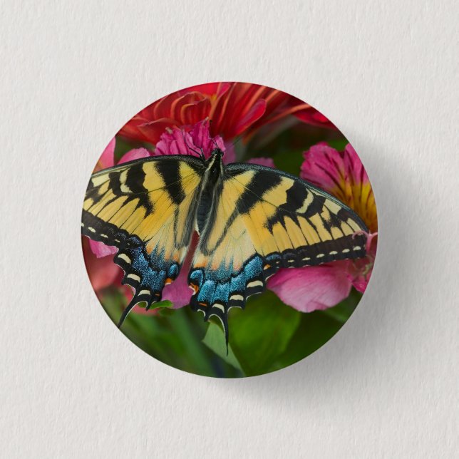 A Tiger Swallowtail Butterfly Button (Front)