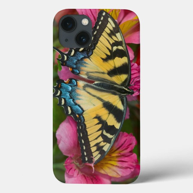 A Tiger Swallowtail Butterfly Case-Mate iPhone Case (Back)