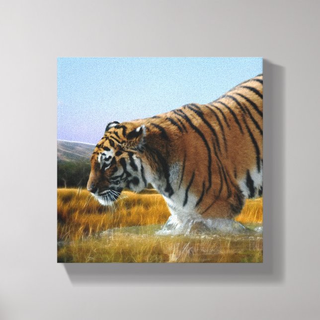 A Tiger wading into water Canvas Print (Front)