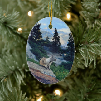 "A Time for Home" Ceramic Ornament
