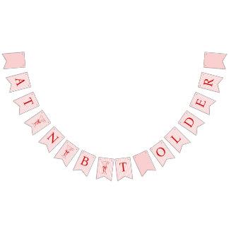 A Tini Bit Older Cute Bow Pink Red Birthday Bunting Flags