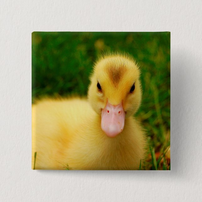 A Tiny Duckling Button (Front)