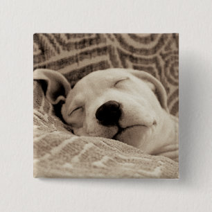 A Tired Dog Button