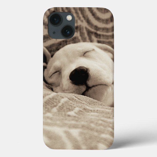 A Tired Dog Case-Mate iPhone Case (Back)
