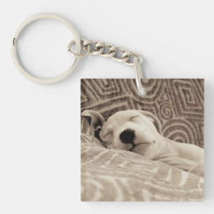 A Tired Dog Keychain