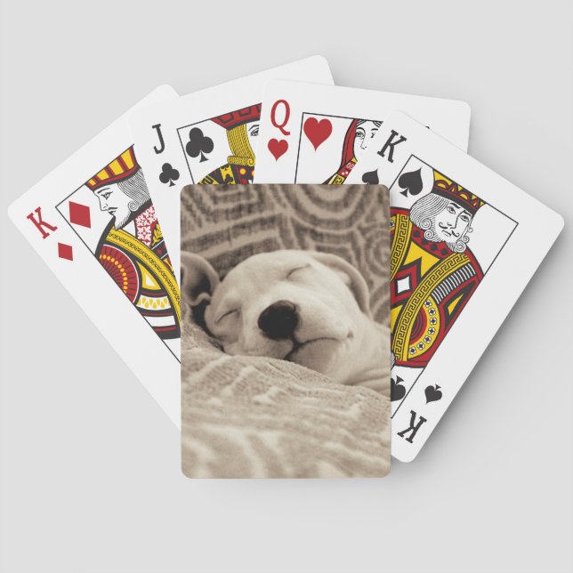 A Tired Dog Poker Cards (Back)