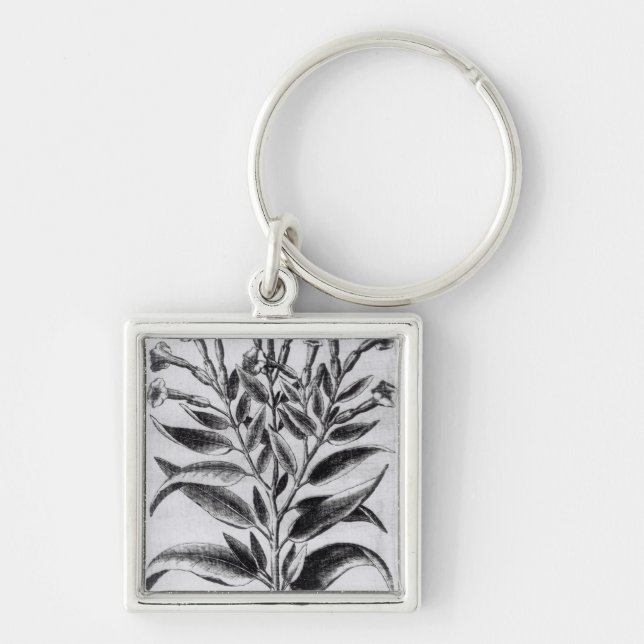 A Tobacco Plant, 1622 Keychain (Front)