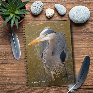 A Top-Down View of a Blue Heron Notebook