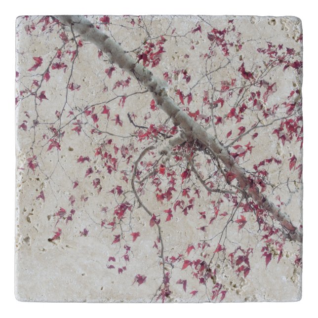 A touch of pink leaves ceramic trivet (Front)
