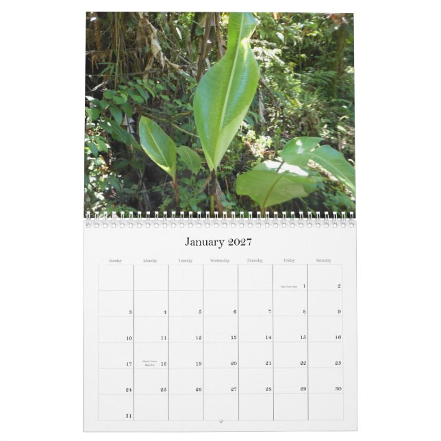 A Touch of the Tropics Calendar (Jan 2027)