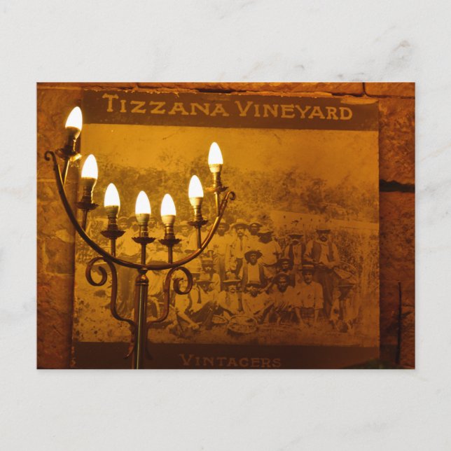 A touch of Tizzana Winery Postcard (Front)