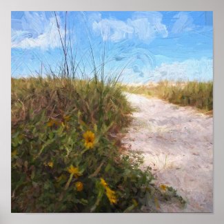 A Trail to the Beach