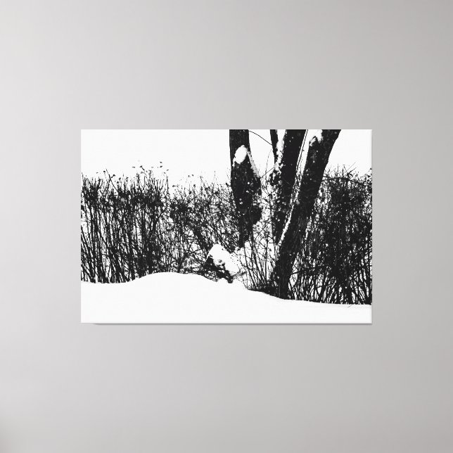 A Tree And Shrubs In Snow Canvas Print (Front)