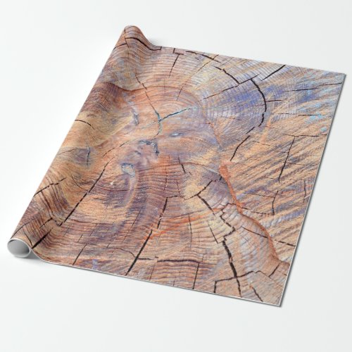 A tree in a cut Logs lumber in the woods Texture Wrapping Paper
