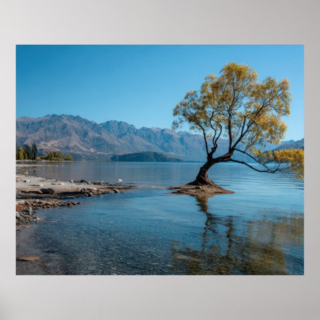 A Tree in a Lake Poster (Front)