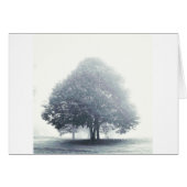 A Tree in Fog (Front Horizontal)