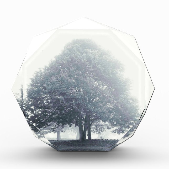 A Tree in Fog Award (Front)