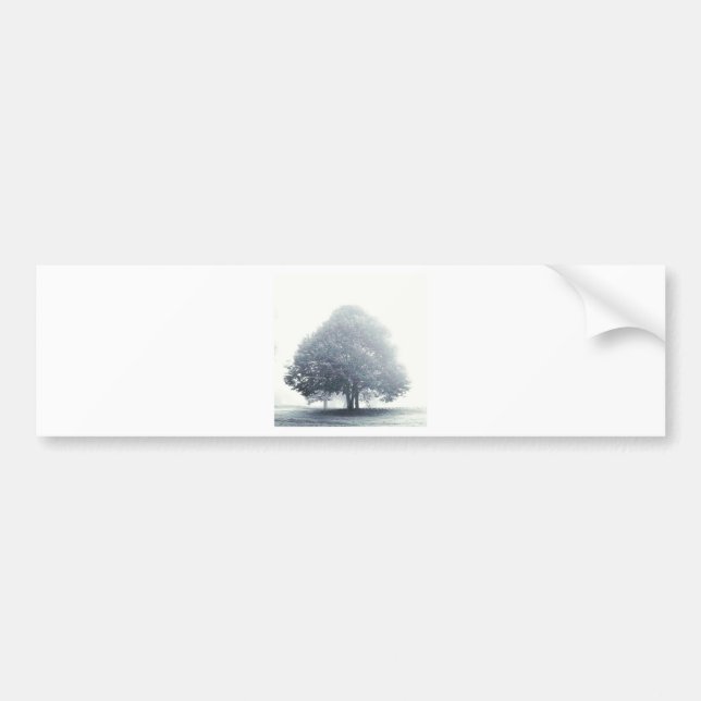 A Tree in Fog Bumper Sticker (Front)