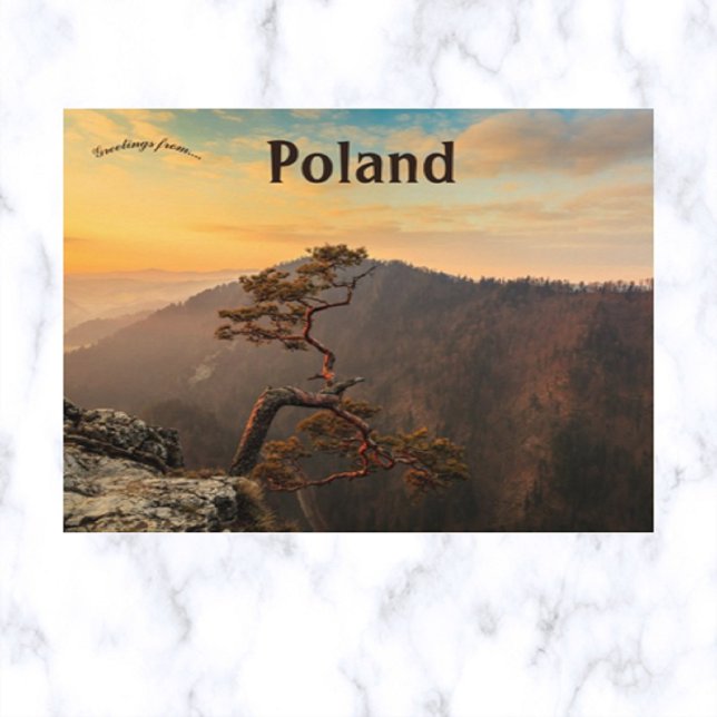 A Tree in Pieniny Poland Postcard (Creator Uploaded)