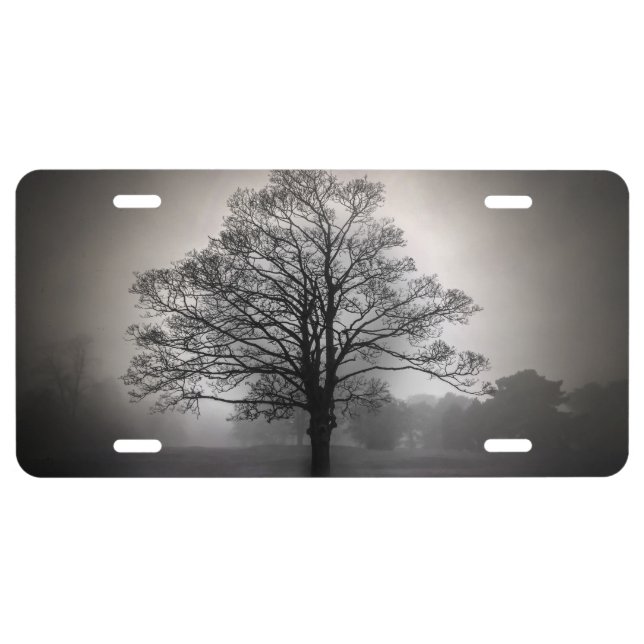 A Tree in the Fog License Plate (Front)