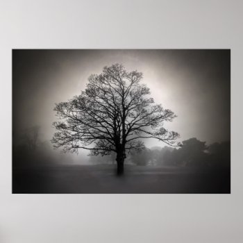 A Tree In The Fog Poster by TheWorldOutside at Zazzle