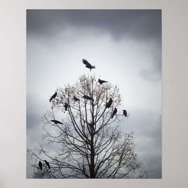 A tree in which many crows have rest poster (Front)