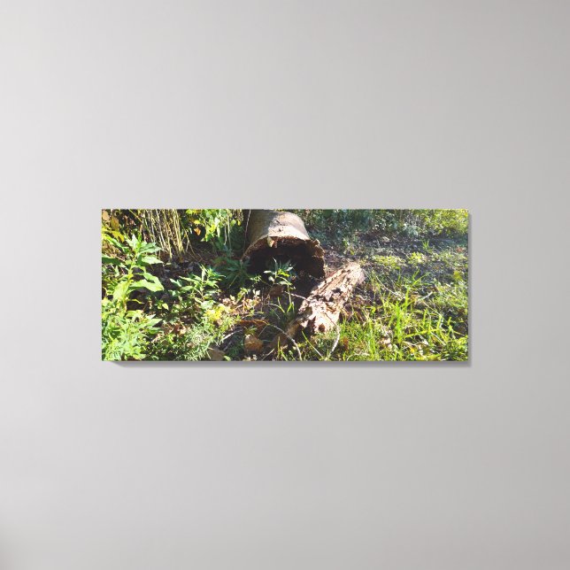 A Tree Log Forgotten Canvas Print (Front)
