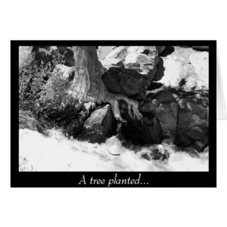 A Tree Planted... Cards