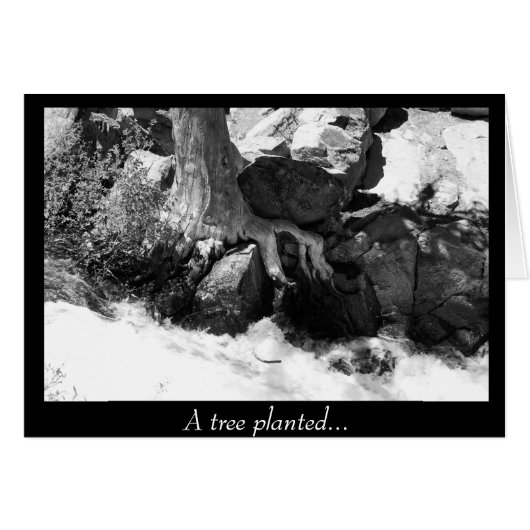 A Tree Planted... Cards (Front Horizontal)