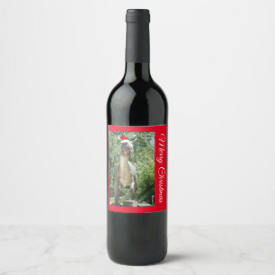 A TREX Dinosaur wearing a Santa Claus Hat Wine Label