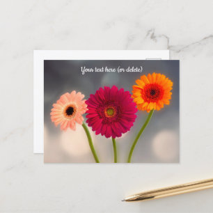 A Trio of Gerberas Postcard