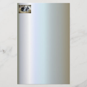 A Trio of Kittens Nesseled Together Stationery