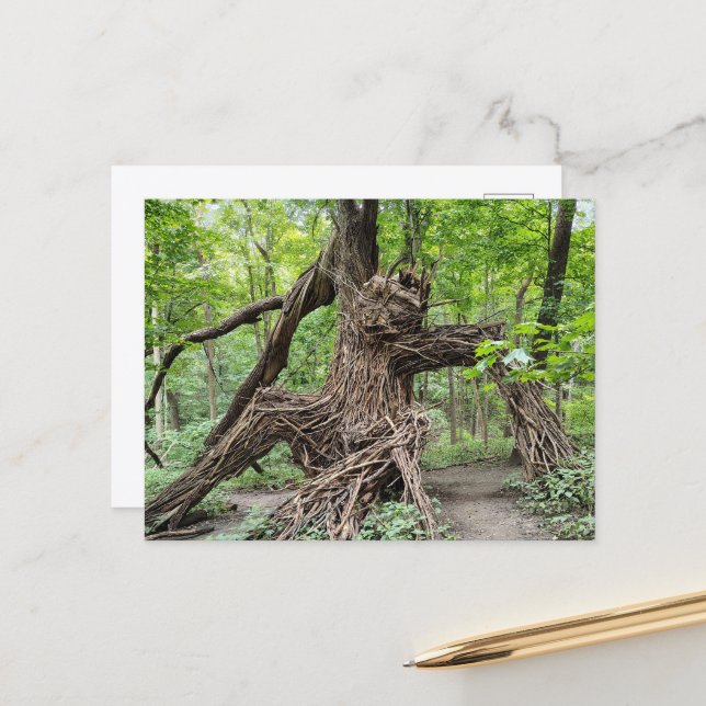 A Troll in the Forest  Postcard (Front/Back In Situ)