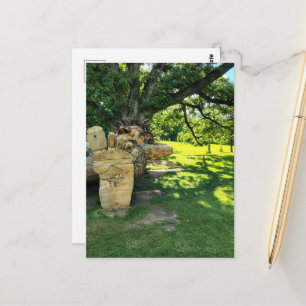 A Troll Sleeps Under a Beautiful Tree Postcard