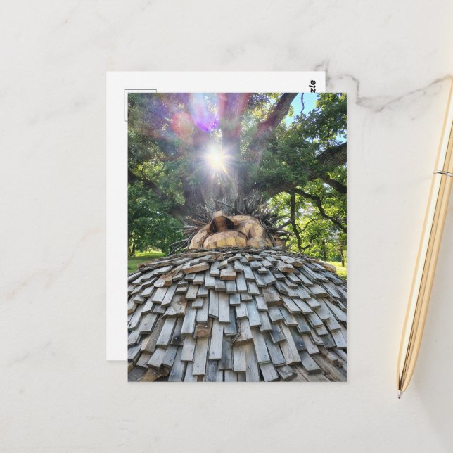 A Troll Sleeps Under a Beautiful Tree Postcard (Front/Back In Situ)