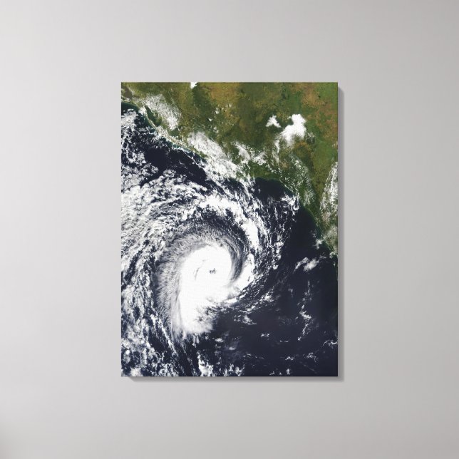 A tropical cyclone canvas print (Front)